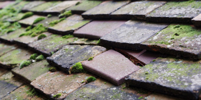 Shortlands roof repair costs
